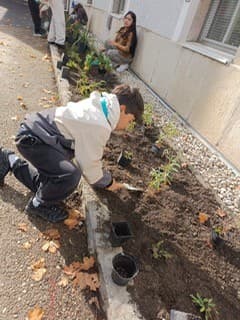 Bepflanzung des Blumenbeetes im TUN-Unterricht von den Mädchen und Buben der 1b Klasse. Besonders fleißig bepflanzten sie mit Gusi dem Stadtgärtner und Johann Etzinger dem Leiter des Bauhofs, die neuen Beete vor dem Schulhaus. Geduldig wird jetzt gewartet, bis im Frühling die Pflanzen (Zierlauch, Bartnelke, Steppensalbei,...) zu blühen beginnen.