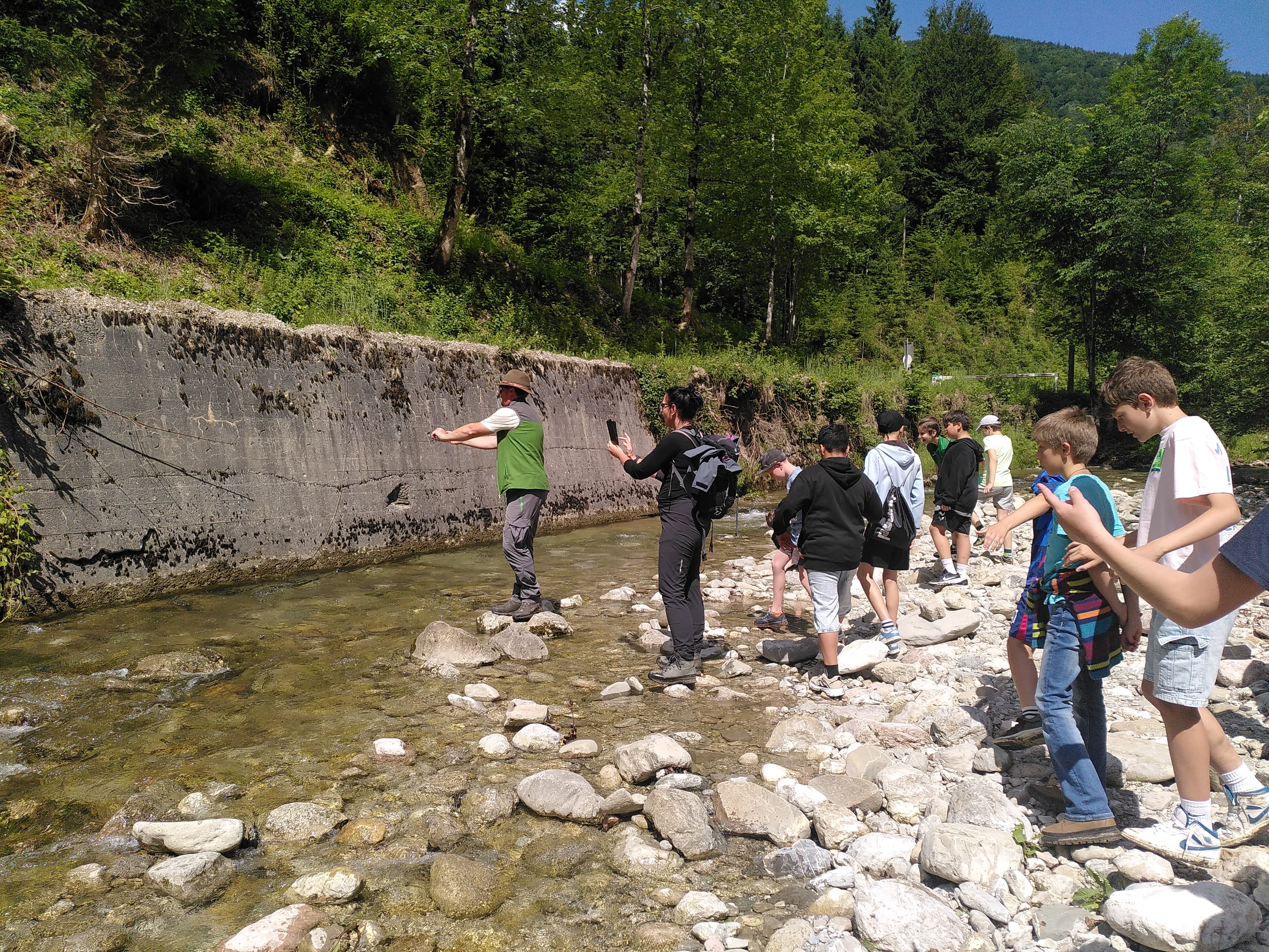 IMG_20260615_150210.jpg