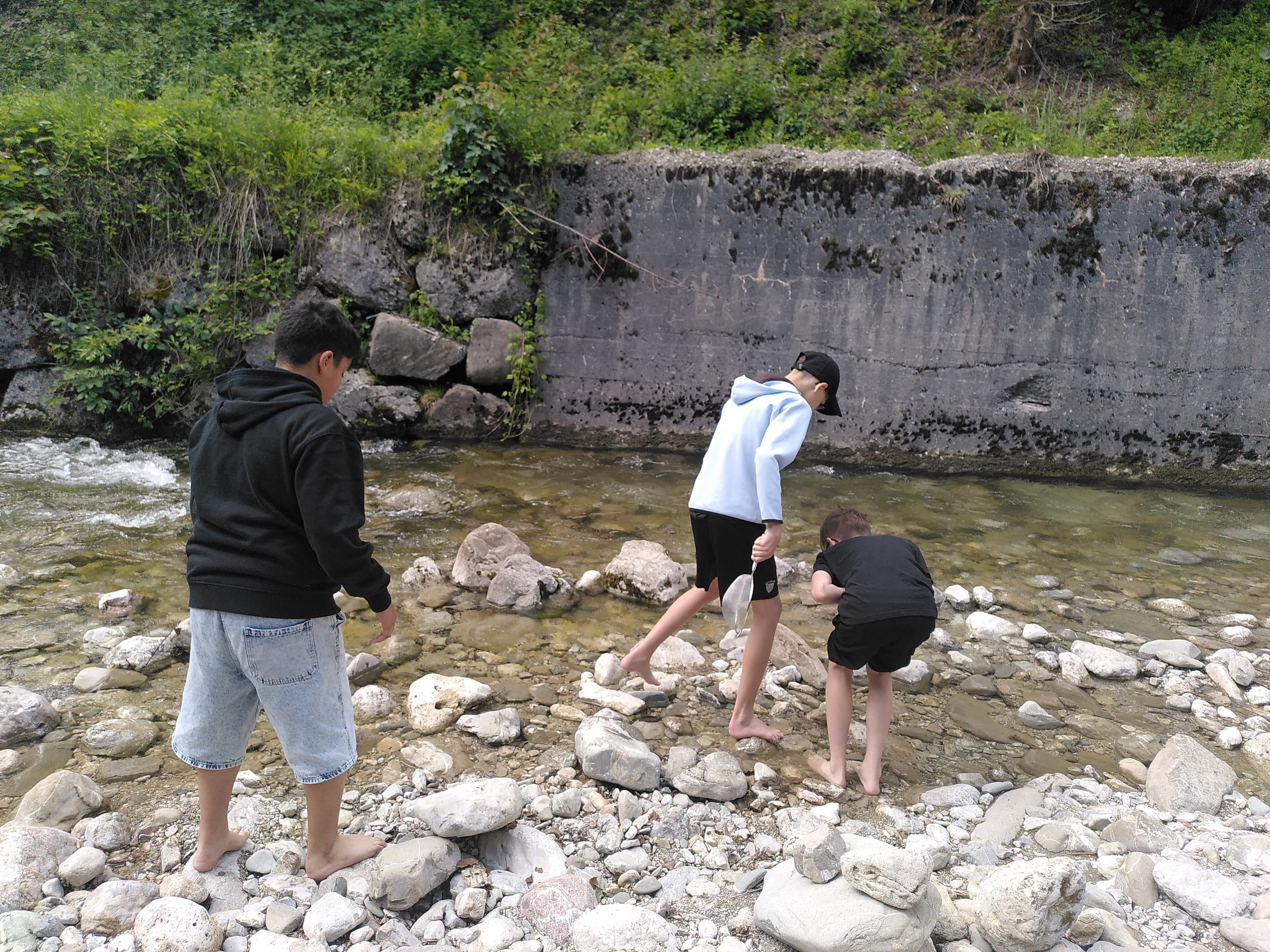 IMG_20260615_151037.jpg