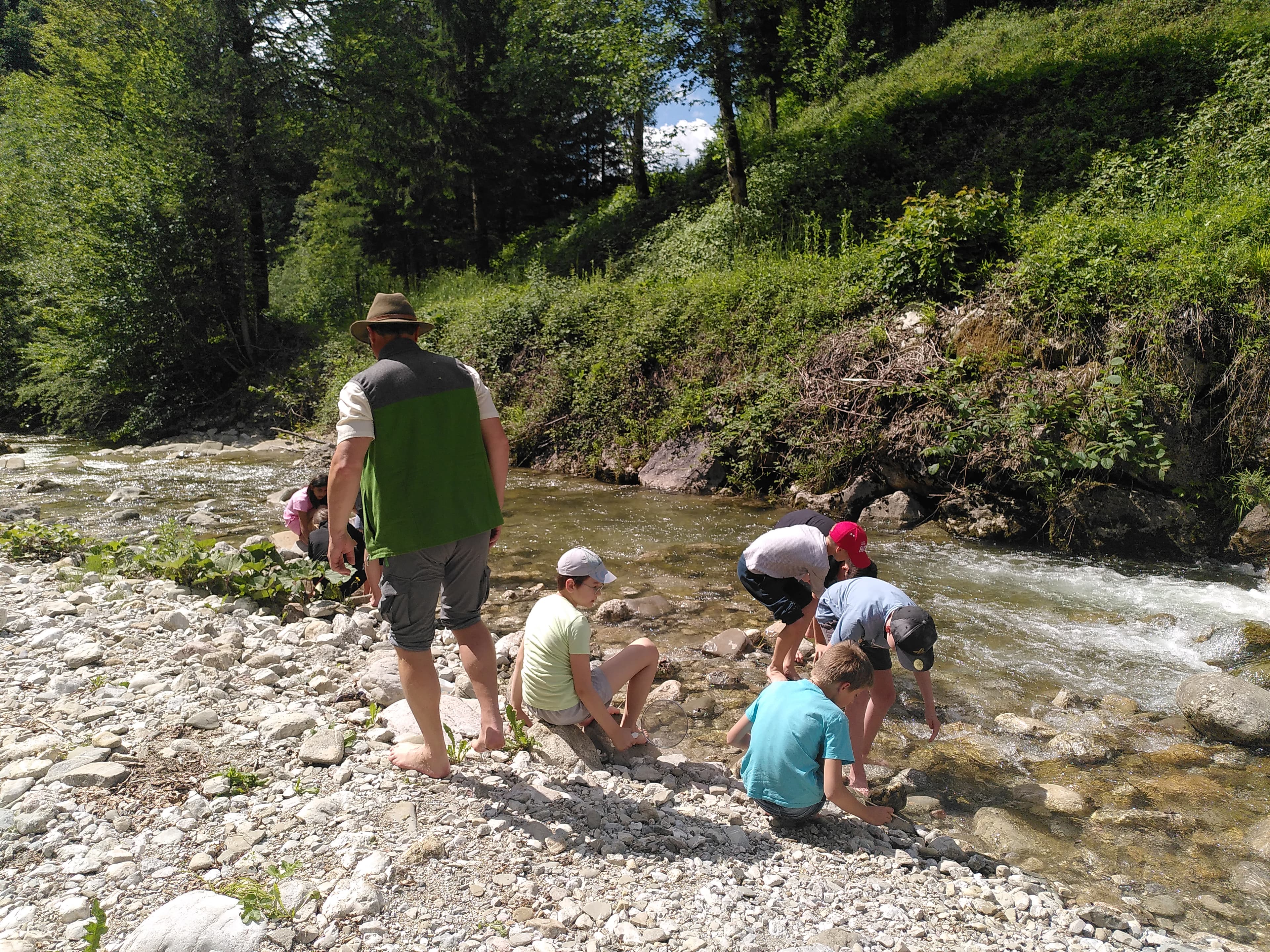 IMG_20260615_151504.jpg
